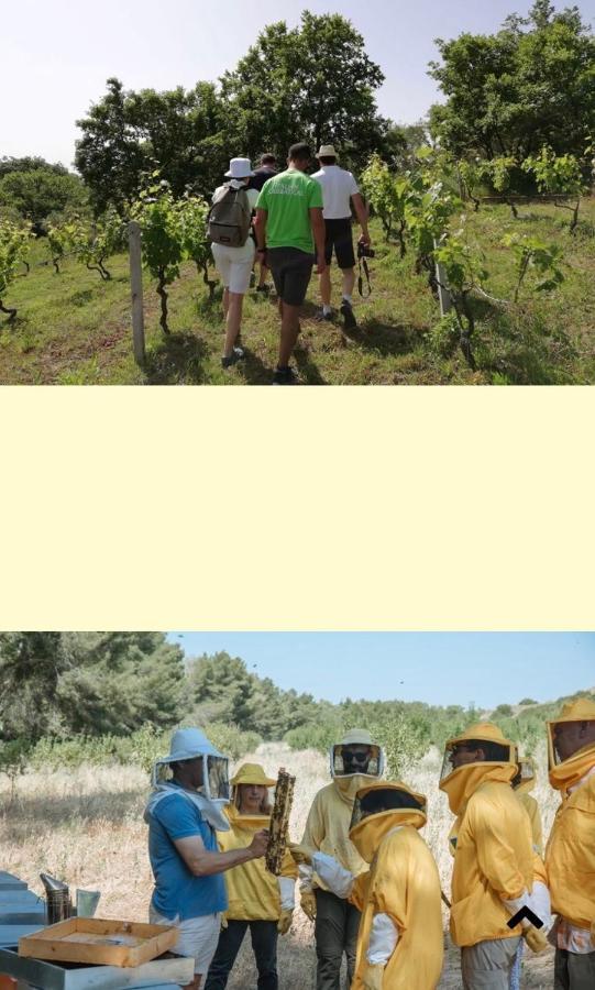 Casa Vacanza Kruptai 2019 Villa Grottole Eksteriør billede